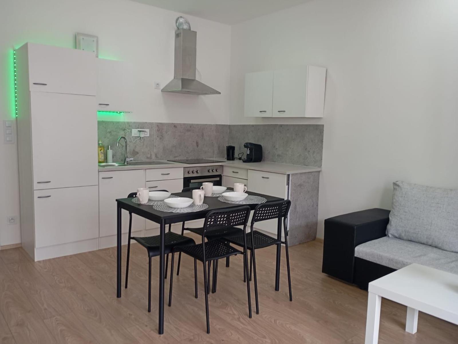 Novy Apartman S Terasou ブルノ エクステリア 写真