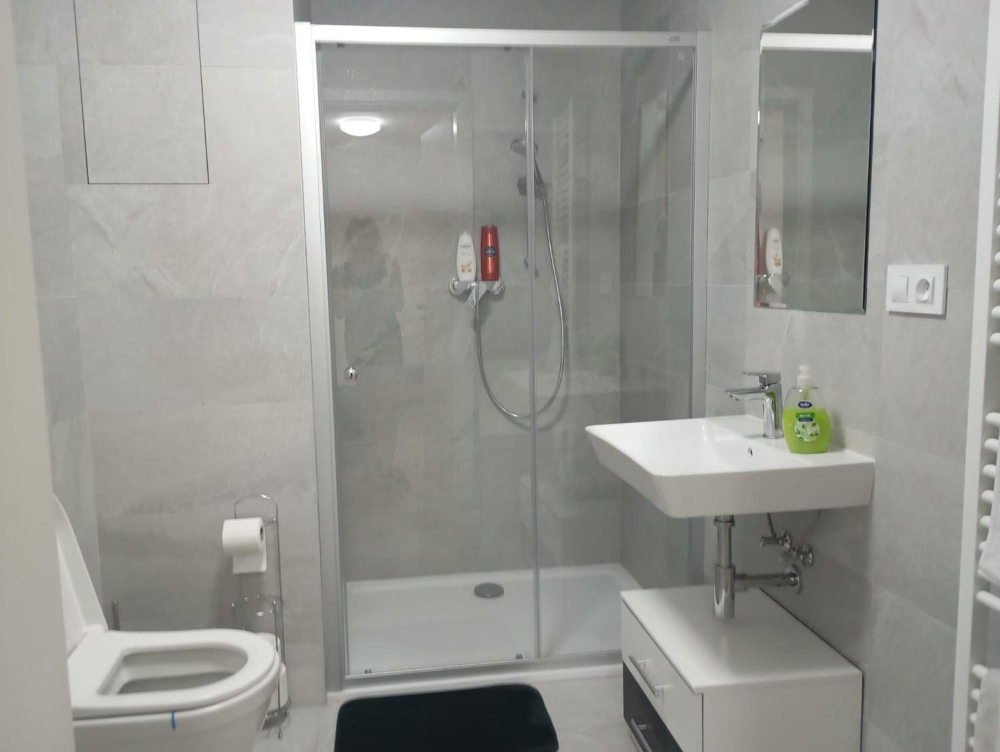 Novy Apartman S Terasou ブルノ エクステリア 写真