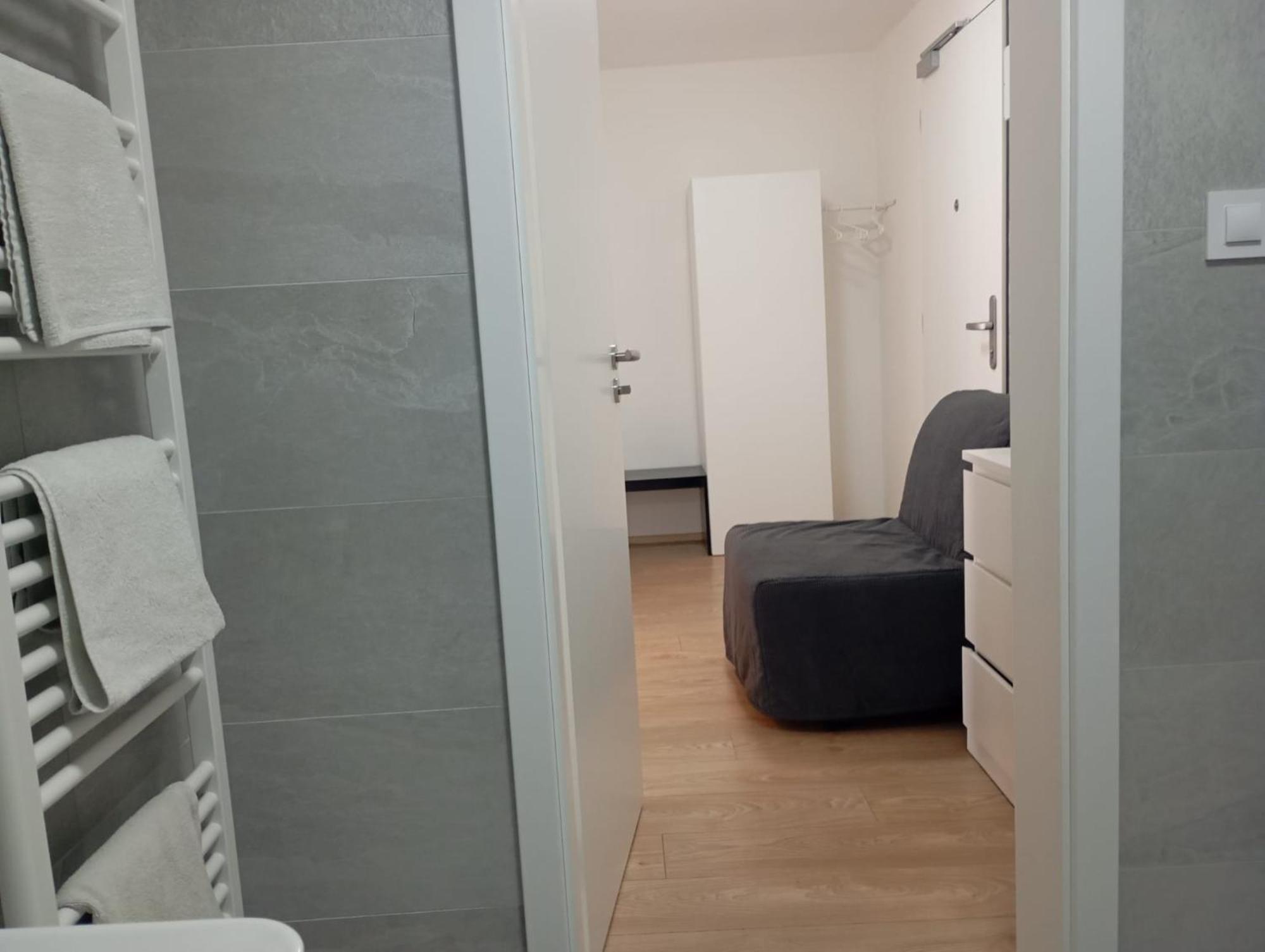 Novy Apartman S Terasou ブルノ エクステリア 写真