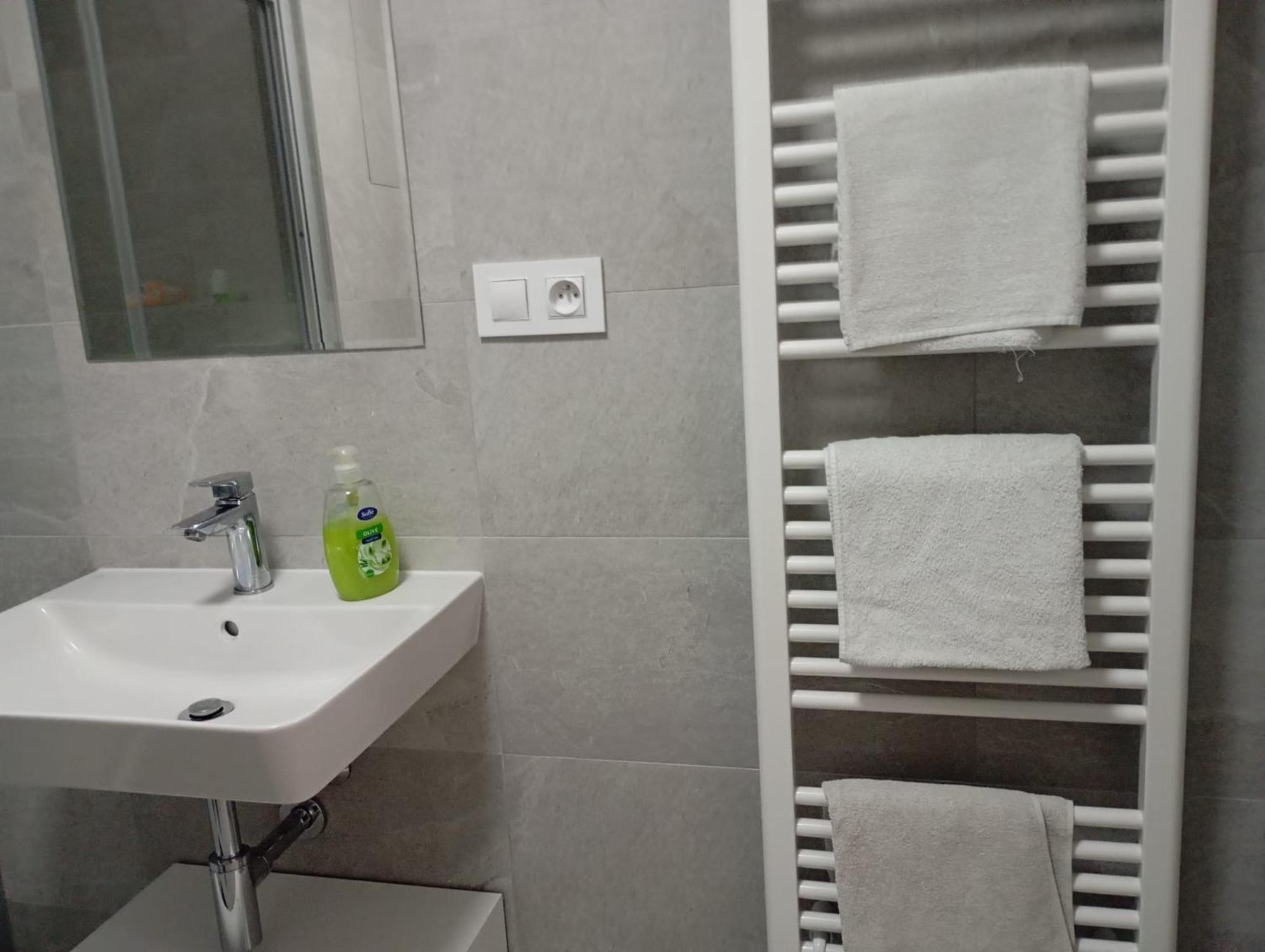 Novy Apartman S Terasou ブルノ エクステリア 写真